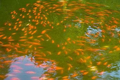 《失忆症：地堡》全新前导预告 3月正式发售