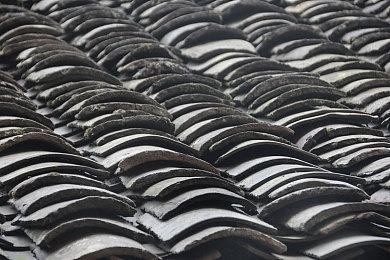 90岁老玩家爱游戏引热议 近期沉迷《刺客信条：影》